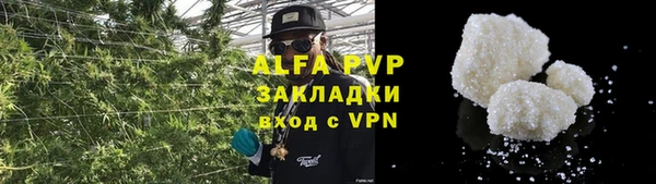 apvp Вяземский